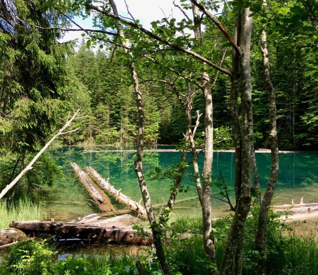 ヘルマゴル Waldnerhuetteヴィラ エクステリア 写真